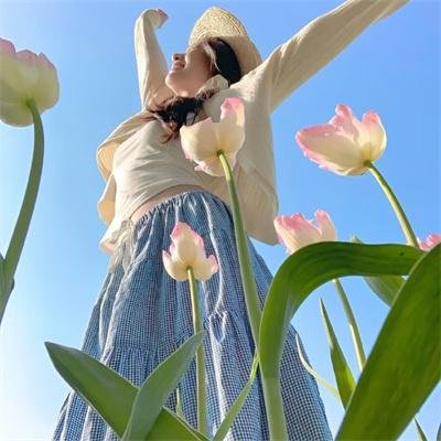 林中野兽